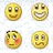 MSN表情精灵V1.2