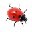 桌面瓢虫爬(LadybugonDesktop)1.0绿色版