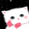 可爱粉色猫动态手机壁纸240*320