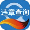 搜狐违章查询app