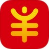 大丰收app