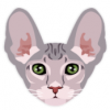 猫动画图片Mac版V3.0