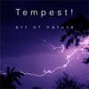 TempestMac版V1.8