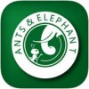 蚂蚁大象app