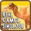 愤怒骆驼模拟3D