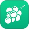 葡萄串理财app