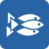 鱼群app