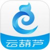 云葫芦知识创业app