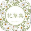 花草集app