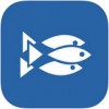 鱼群app