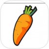 萝卜报告app
