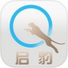 启豹app