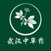 武汉中草药app