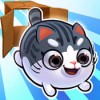 猫小盒2ios版