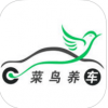 菜鸟养车app