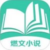 燃文小说app