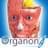 3DOrganonAnatomy(人体解剖软件)v3.0.0免费版