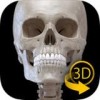 肌肉骨骼app