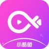 小酷鱼app