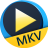 AiseesoftFreeMKVPlayer(MKV播放器)v6.6.10官方版