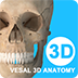 维萨里3D解剖电脑版