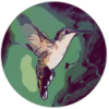 HummingbirdMac版V3.0.1