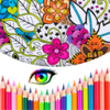 ColoringBookMac版V1.0