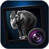 JixiPixDramaticBlackWhiteMac版V2.6.5