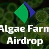 AlgaeFarm