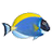 SimAQUARIUM2(鱼缸屏保软件)v2.6d官方版