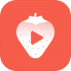草莓短视频电脑版