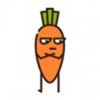 smallcarrot