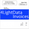 4LightDataInvoicesMac版V6.200801