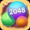 2048球冠军