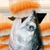 鲑鱼吃寿司