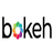 Bokeh(互动可视化库)v2.3.1官方版