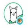 alpaca羊驼币