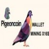 Pigeoncoin鸽子币