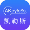 keyless