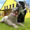 孕犬宠物护理狗狗模拟器iOS版
